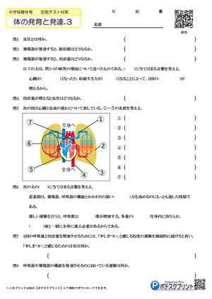 循環器プリント