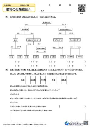 動物の分類総合.4(問題)