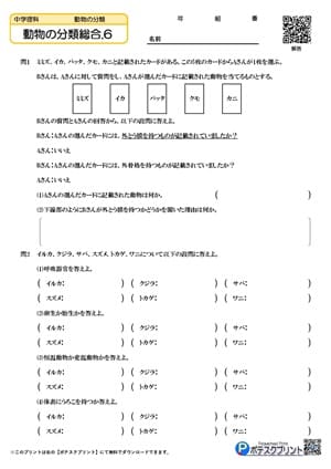 動物の分類総合.6(問題)