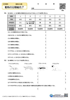 動物の分類総合.7
(問題)