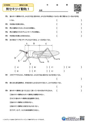 無セキツイ動物.1（問題）