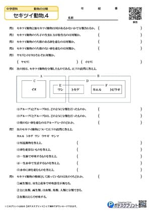 セキツイ動物.4（問題）