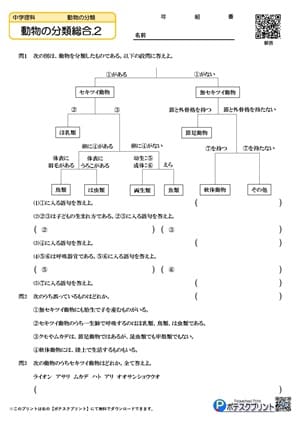 動物の分類総合.2(問題)