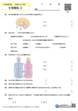 人体プリント