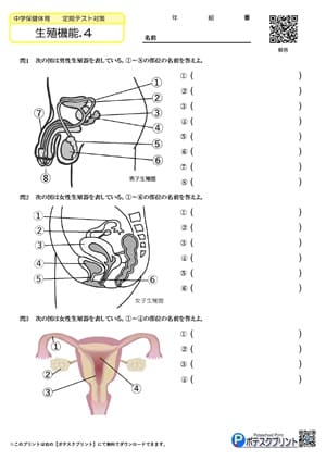 保体プリント