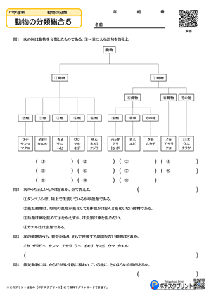 動物の分類総合.5(問題)