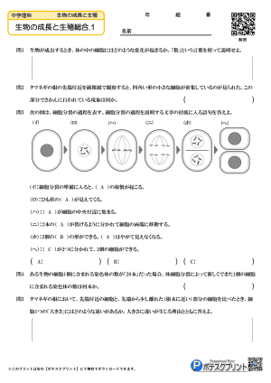 生物の成長と生殖総合.1(問題)