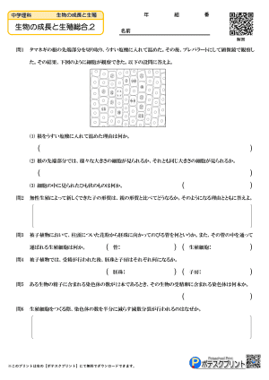 生物の成長と生殖総合.2(問題)