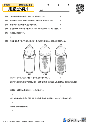 細胞分裂.1(問題)
