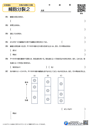 細胞分裂.2(問題)