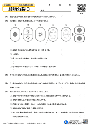 細胞分裂.3(問題)
