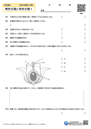 無性生殖と有性生殖.1(問題)