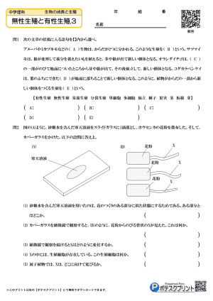 無性生殖と有性生殖.3(問題)