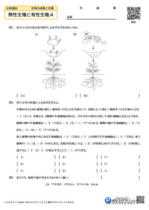 無性生殖と有性生殖.4(問題)