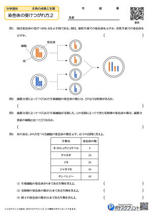 染色体の受けつがれ方.2(問題)