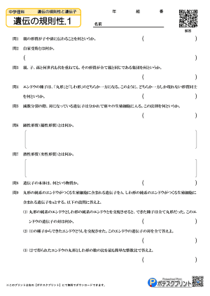 遺伝の規則性.1(問題)