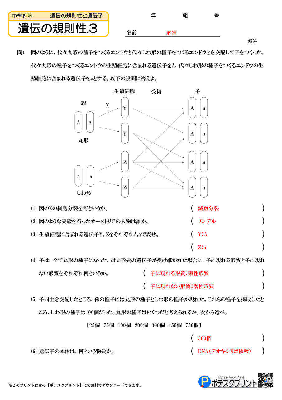 遺伝の規則性.3(答)