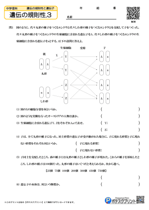 遺伝の規則性.3(問題)