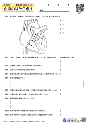 血液のはたらき.1(問題)