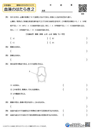 血液のはたらき.2(問題)