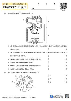 血液のはたらき.3(問題)