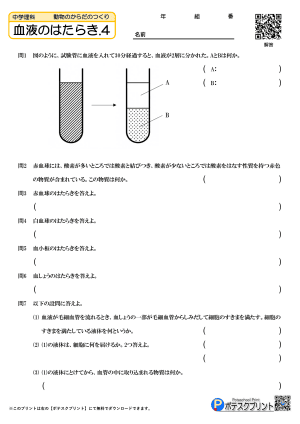 血液のはたらき.4(問題)