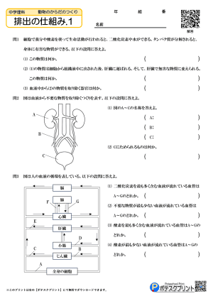 排出の仕組み.1（問題）