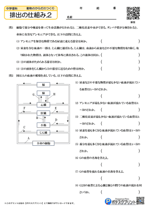 排出の仕組み.2（問題）
