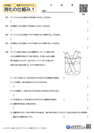 消化の仕組み.1(問題)
