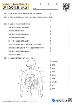 消化の仕組み.3(問題)