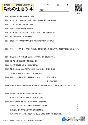 消化の仕組み.4(問題)