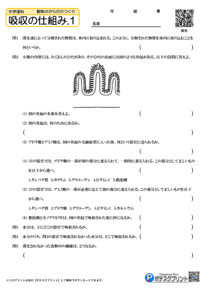 吸収の仕組み.1(問題)