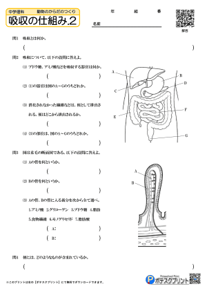 吸収の仕組み.2(問題)