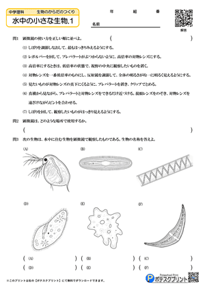 水中の小さな生物.1（問題）