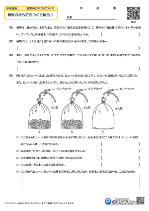 植物のからだのつくりとはたらき.1