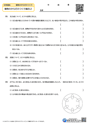 植物のからだのつくりとはたらき.2