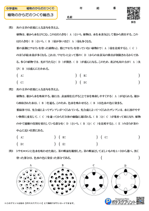 植物のからだのつくりとはたらき.3