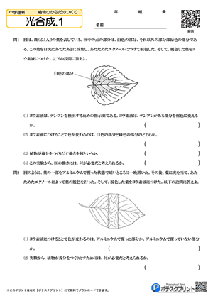 光合成.1(問題)