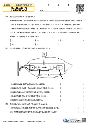 光合成.3(問題)