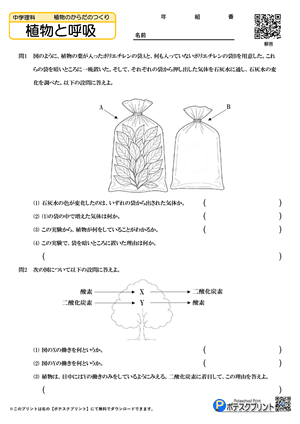 植物と呼吸（問題）