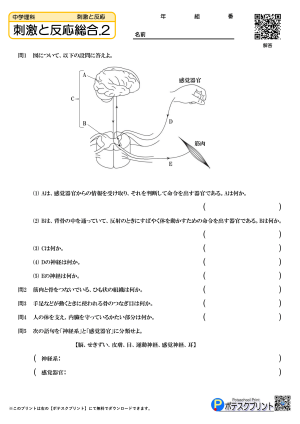 刺激と反応総合.2(問題)