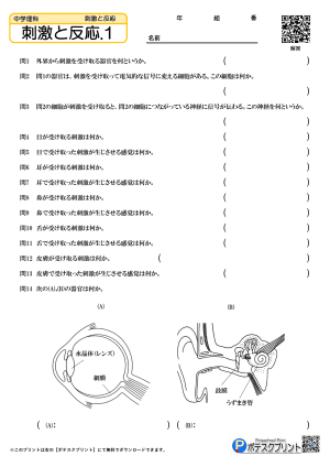 刺激と反応.1(問題)