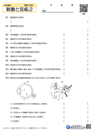 刺激と反応.2(問題)