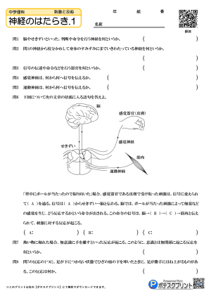 神経のはたらき.1(問題)