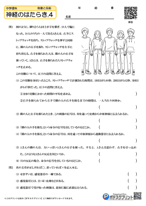 神経のはたらき.4(問題)
