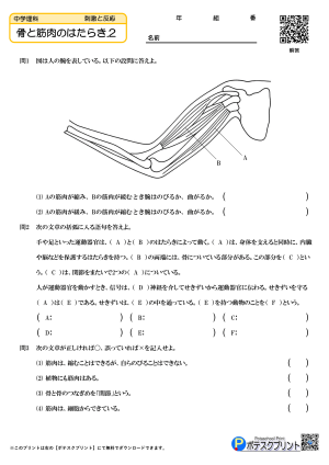 骨と筋肉のはたらき.2(問題)